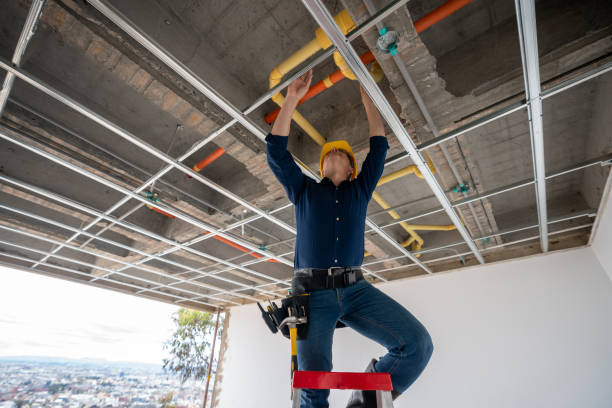 Best Affordable Plumbing Services  in Lawton, MI